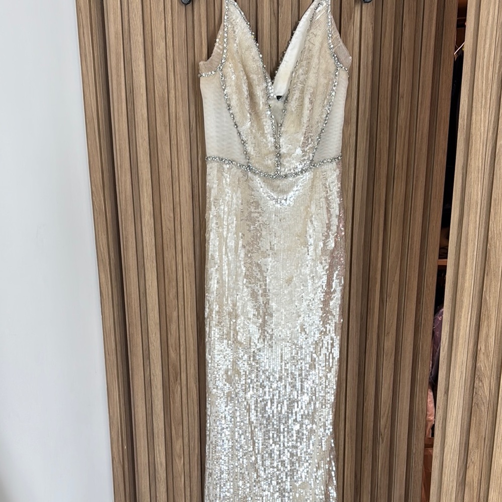 Elegant Sequin Gown in Silver and Cream - Picture 4 of 5